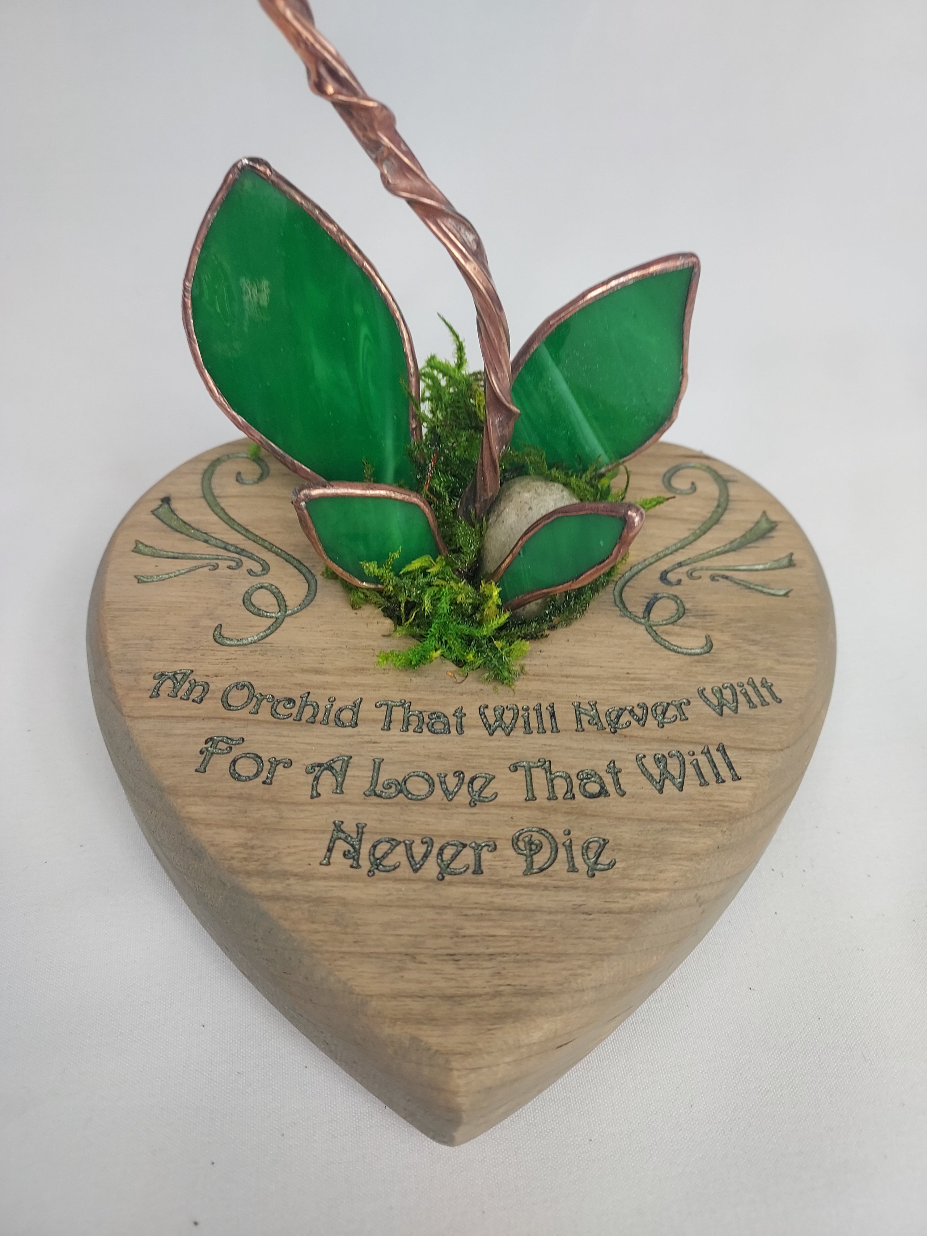 Opalescent White Eternal Orchid - Valentine's Day Series