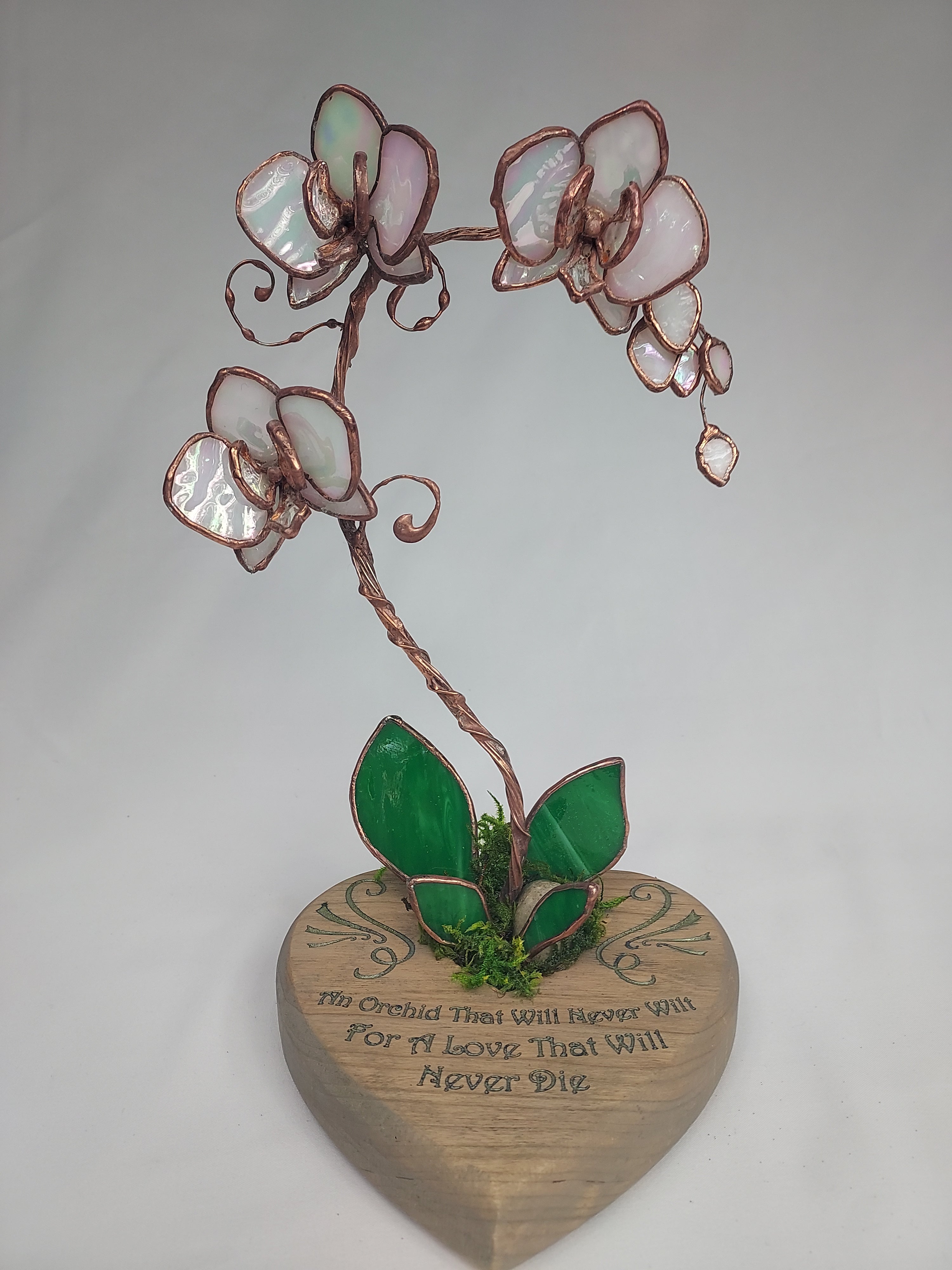 Opalescent White Eternal Orchid - Valentine's Day Series