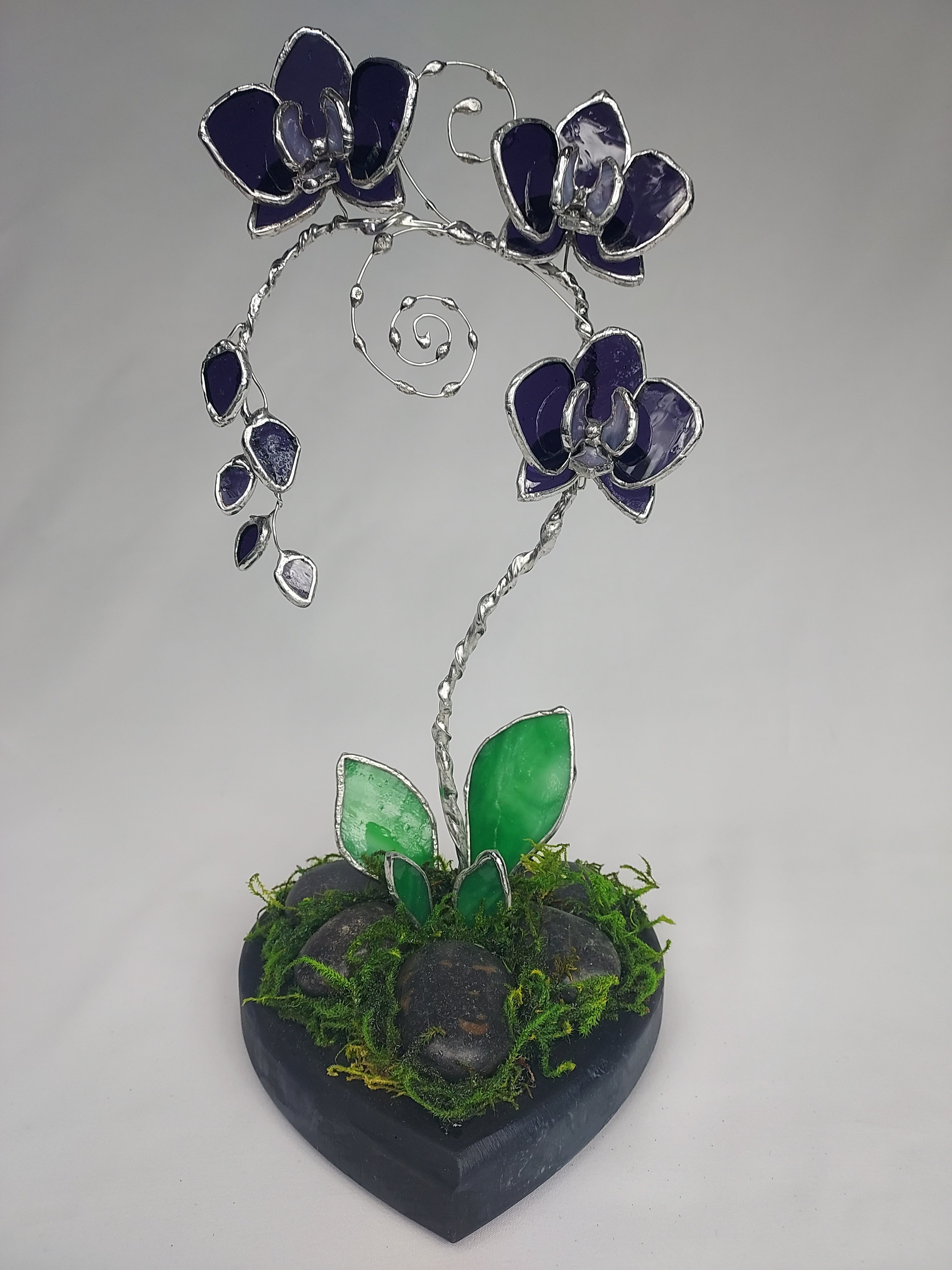 Translucent Violet Black Heart Eternal Orchid