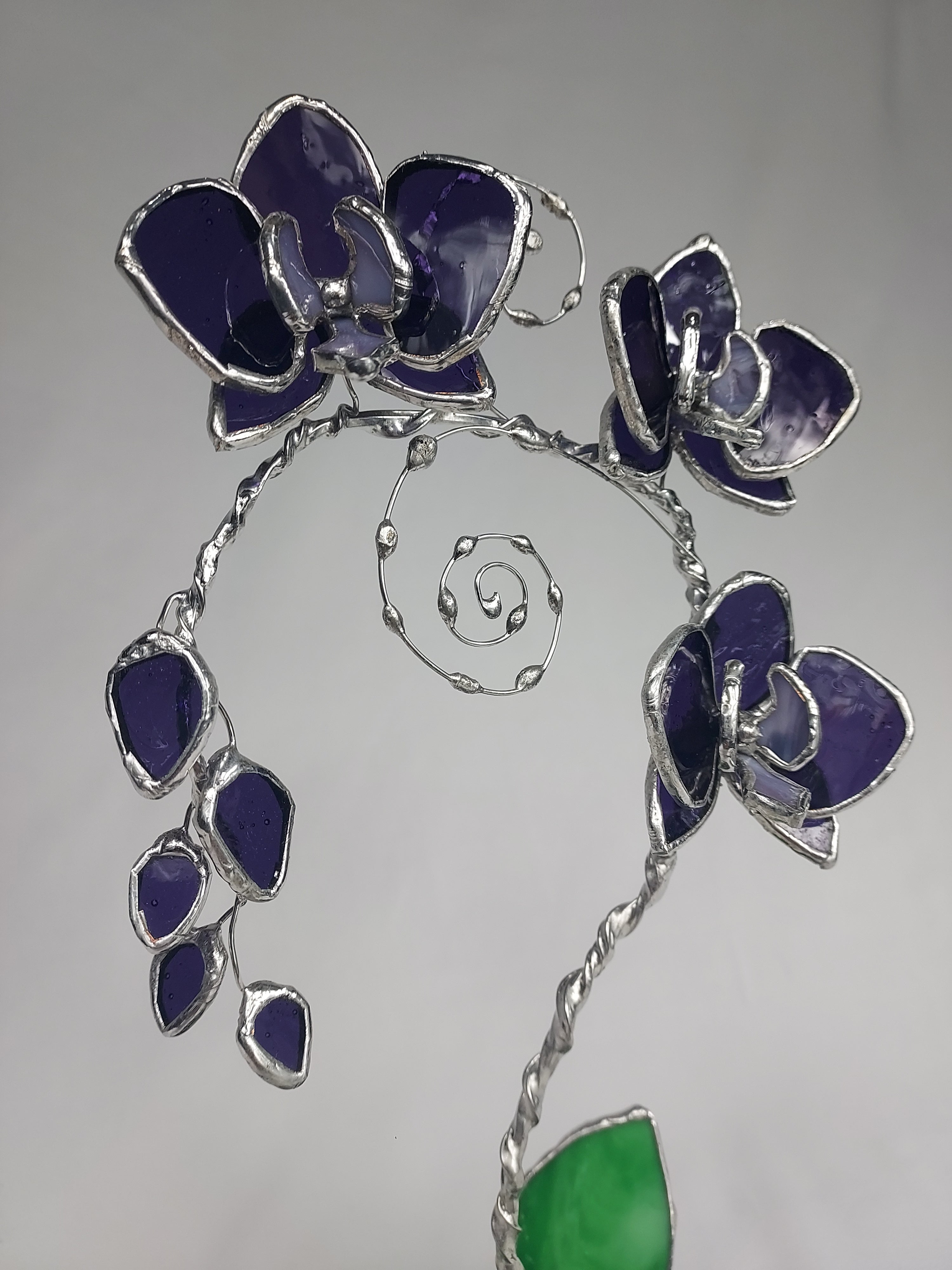 Translucent Violet Black Heart Eternal Orchid