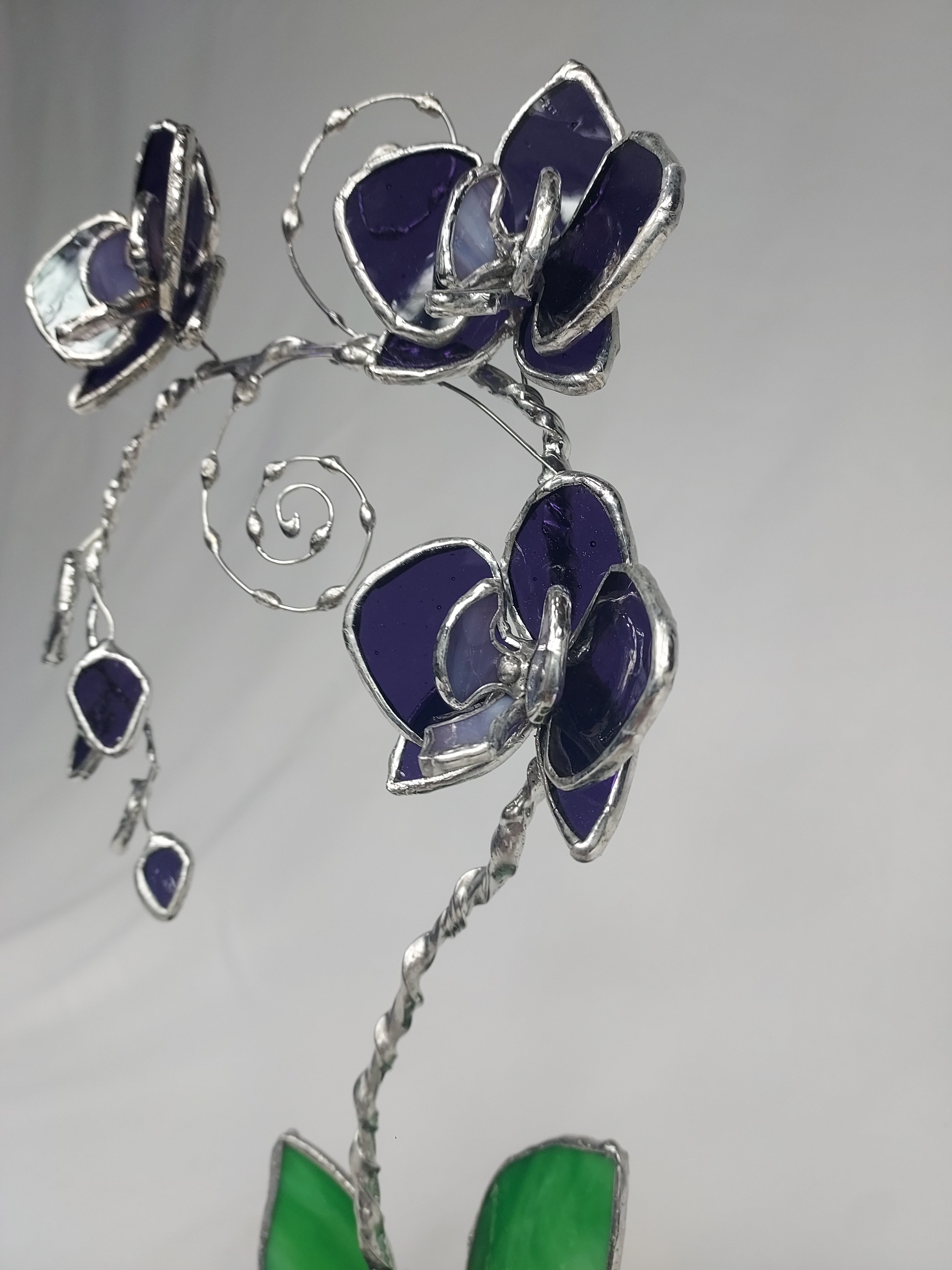 Translucent Violet Black Heart Eternal Orchid