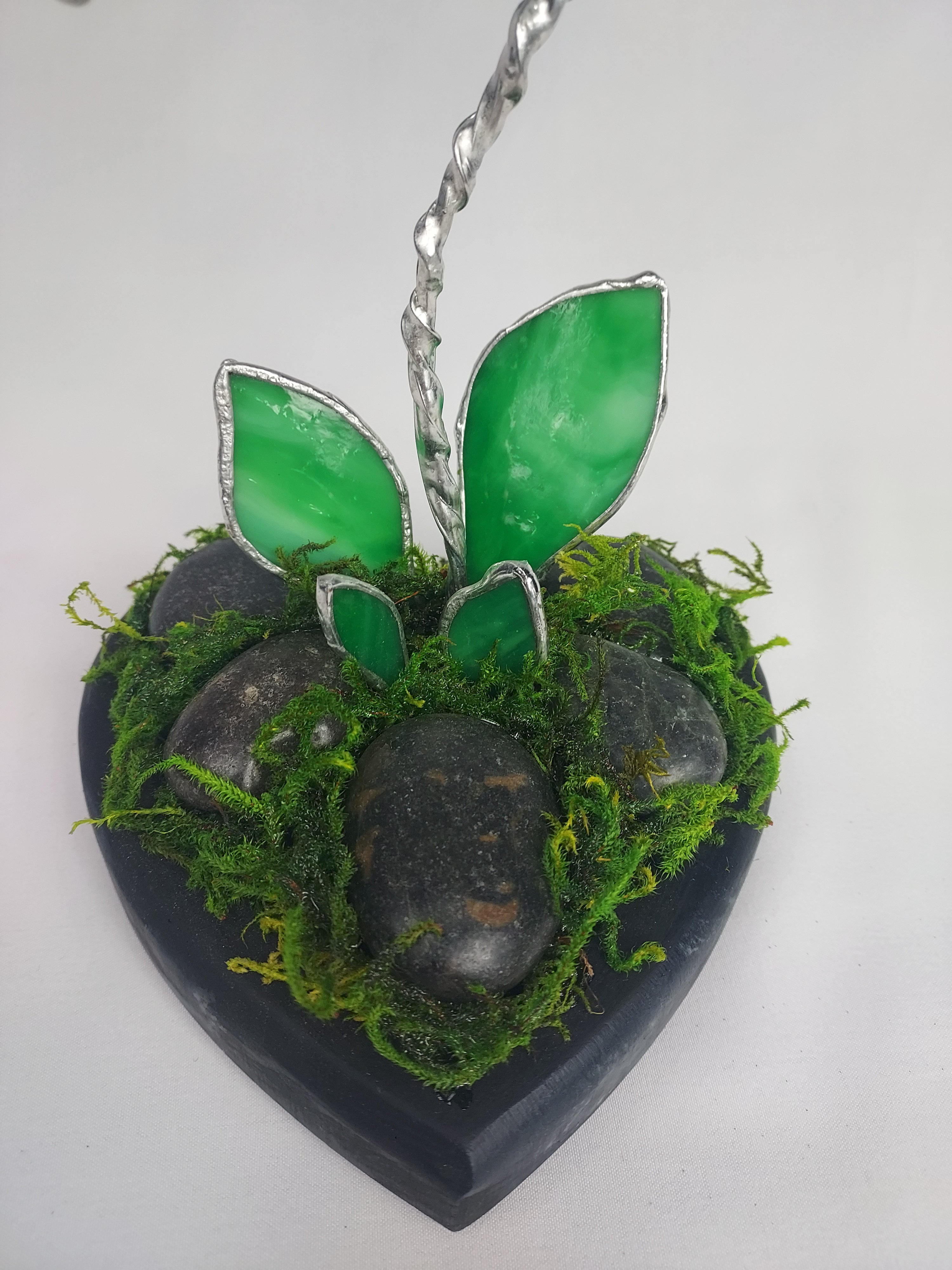 Translucent Violet Black Heart Eternal Orchid