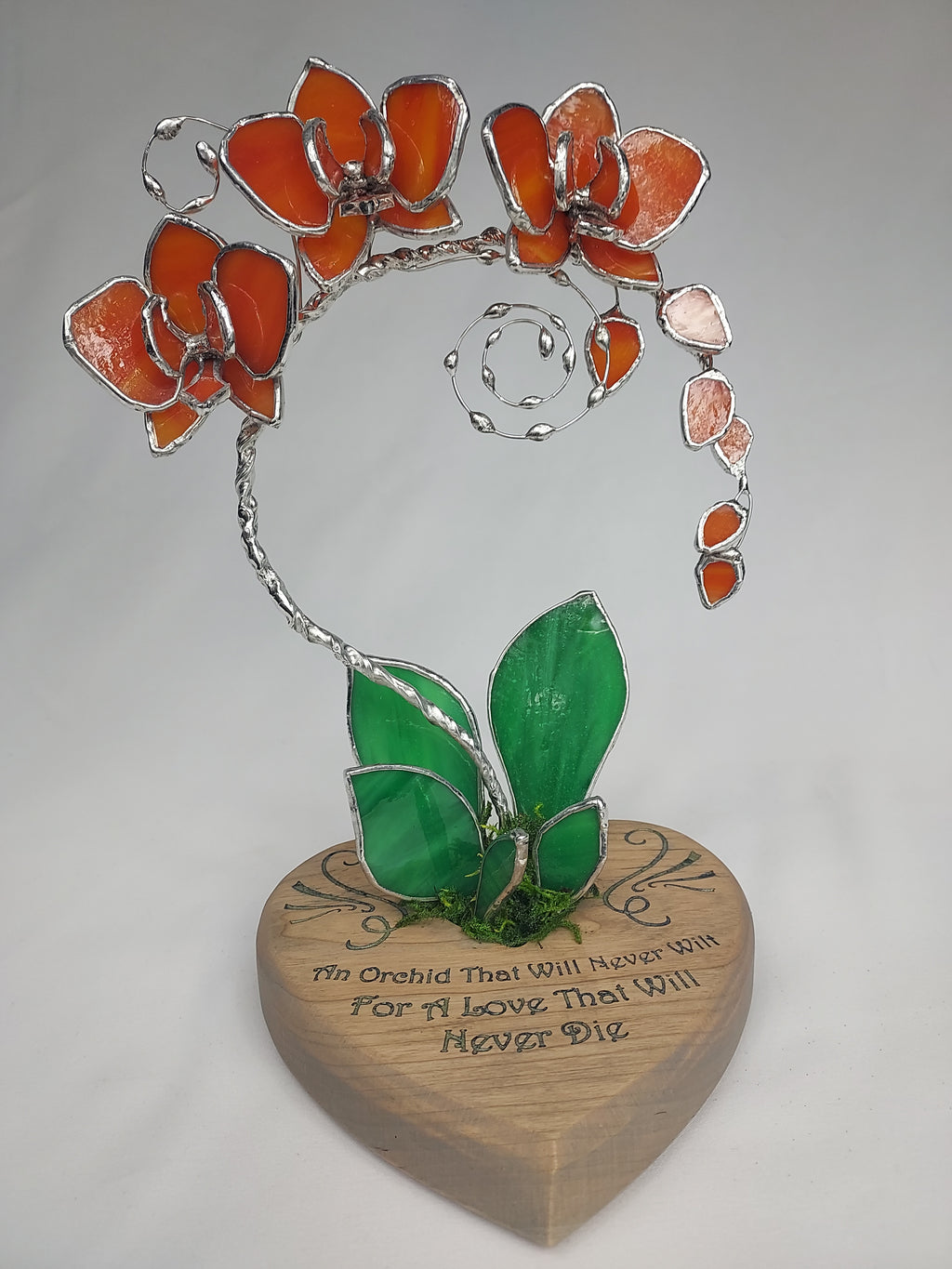 Sunfire Tangerine Eternal Orchid - Valentine’s Day Series