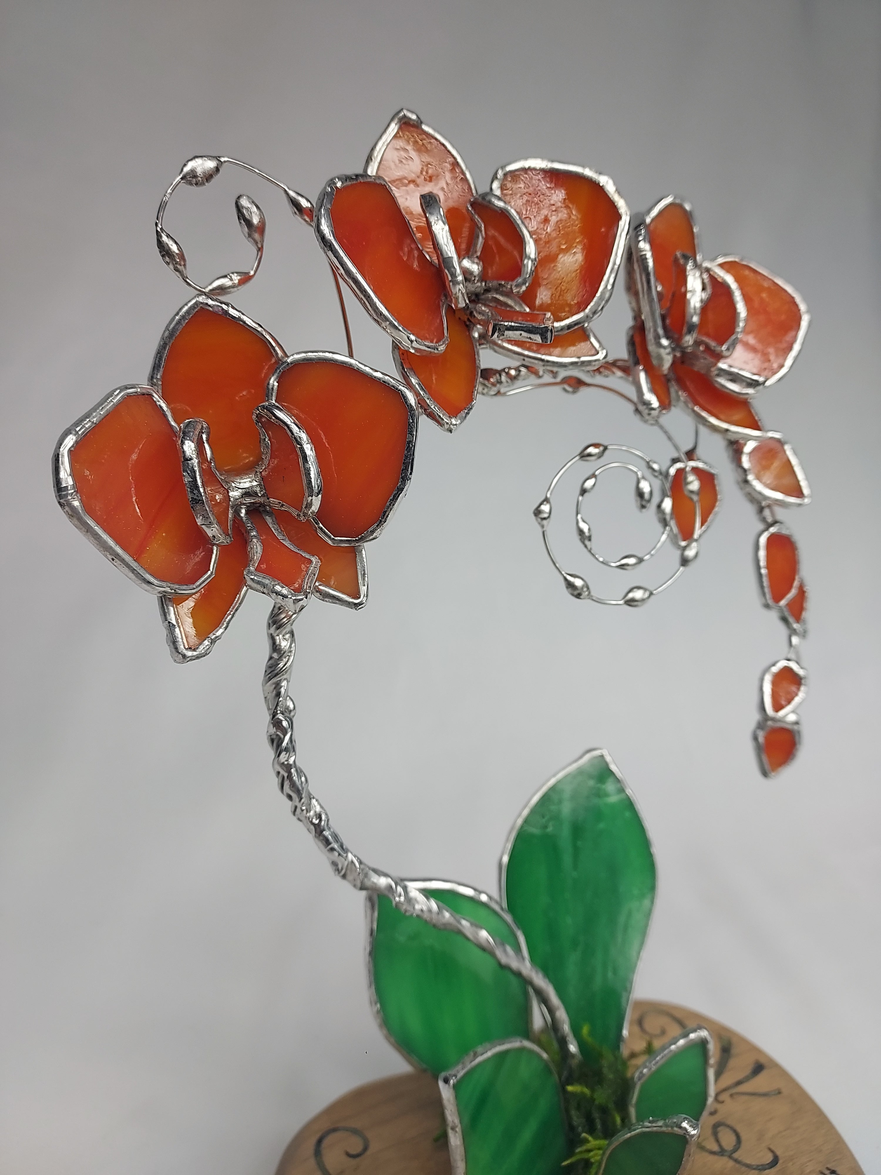 Sunfire Tangerine Eternal Orchid - Valentine’s Day Series