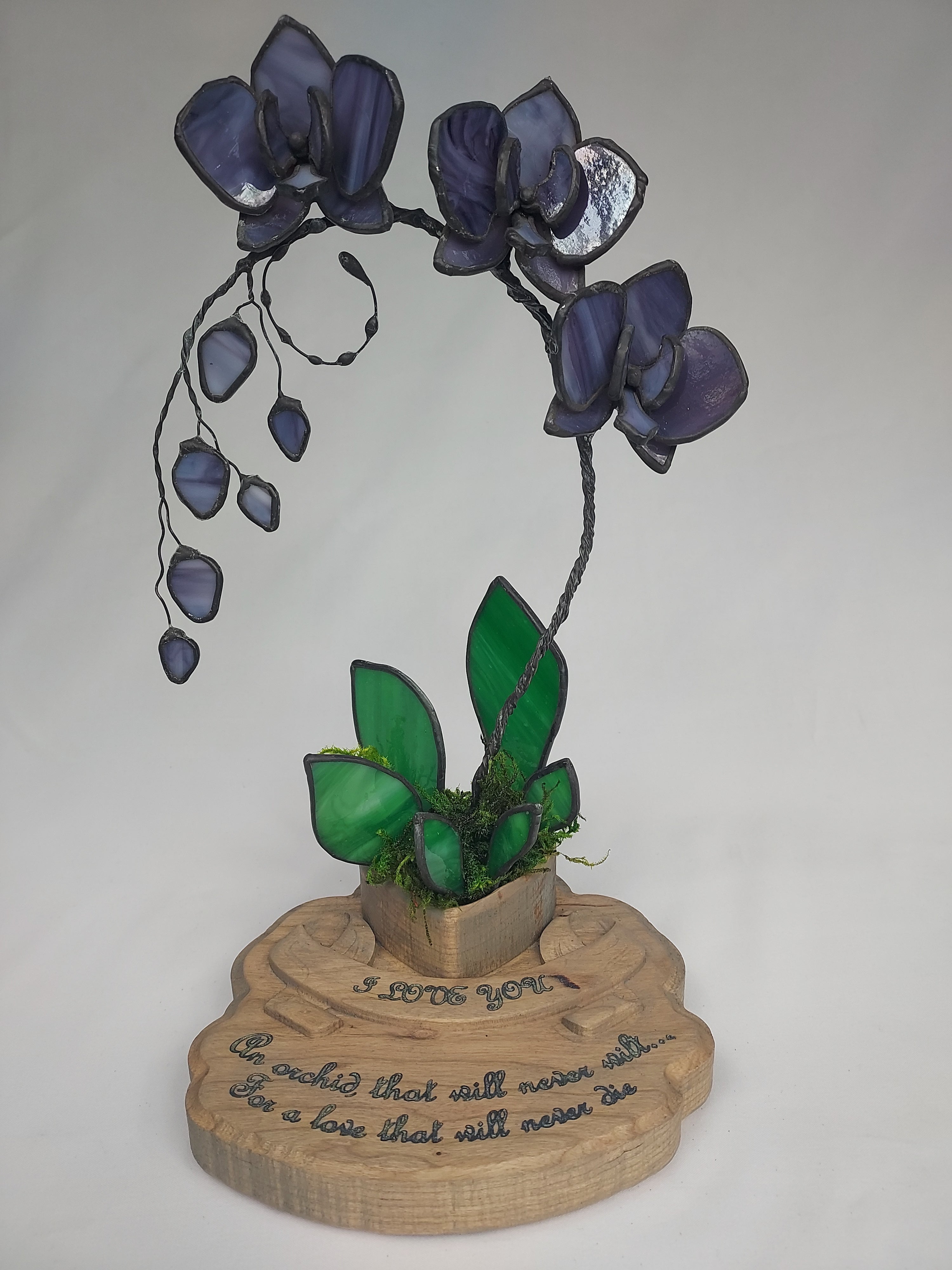 Midnight Amethyst Eternal Orchid - Valentine's Day Series