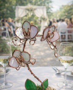 Opalescent White Eternal Orchid - Valentine's Day Series