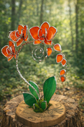 Sunfire Tangerine Eternal Orchid - Valentine’s Day Series