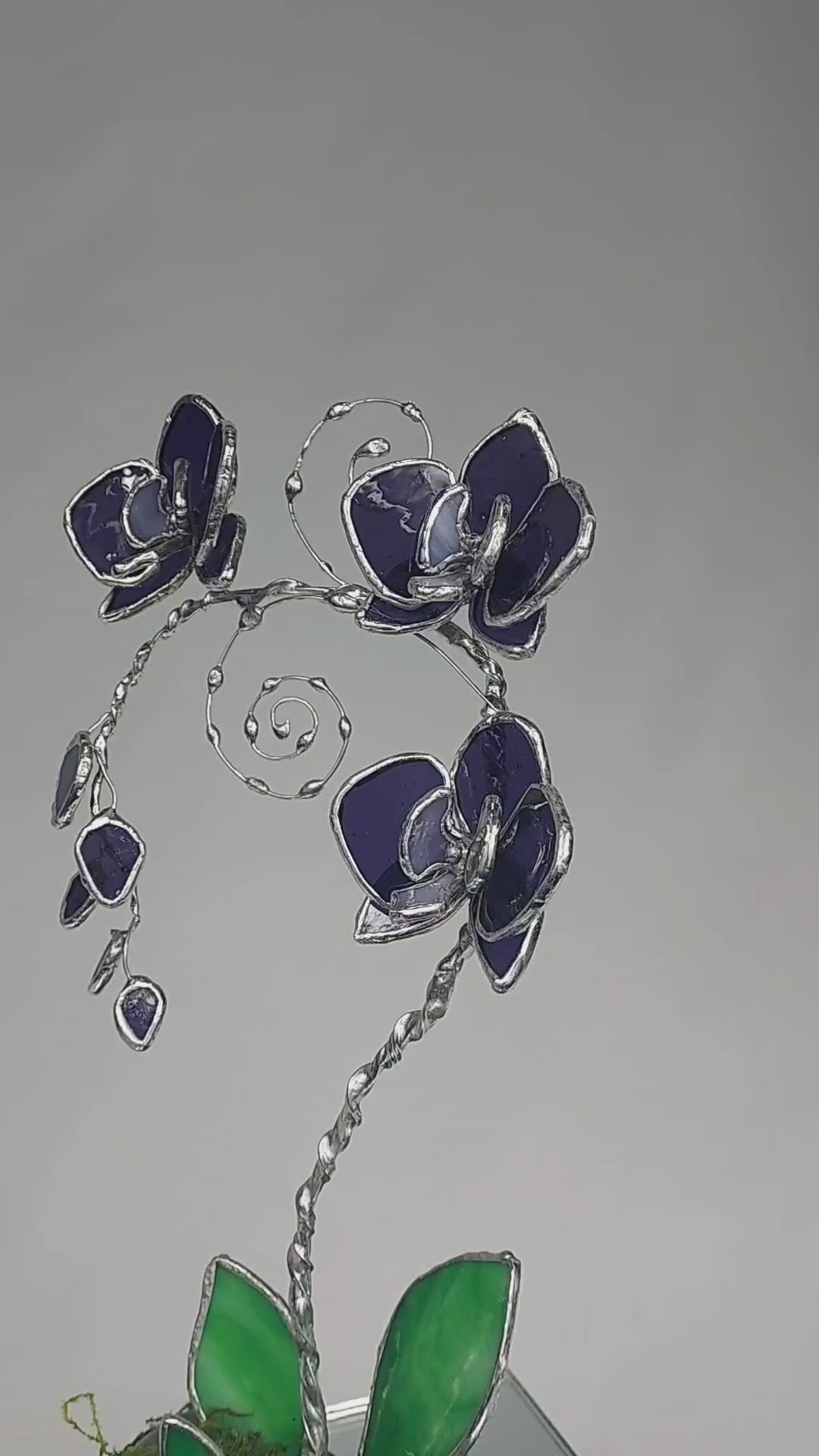 Translucent Violet Black Heart Eternal Orchid