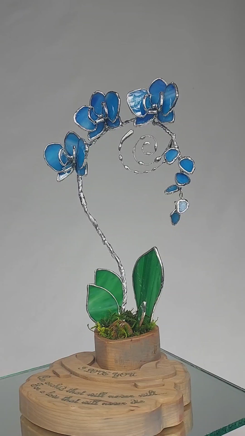 Ocean Blue Eternal Orchid - Valentine's Day Series