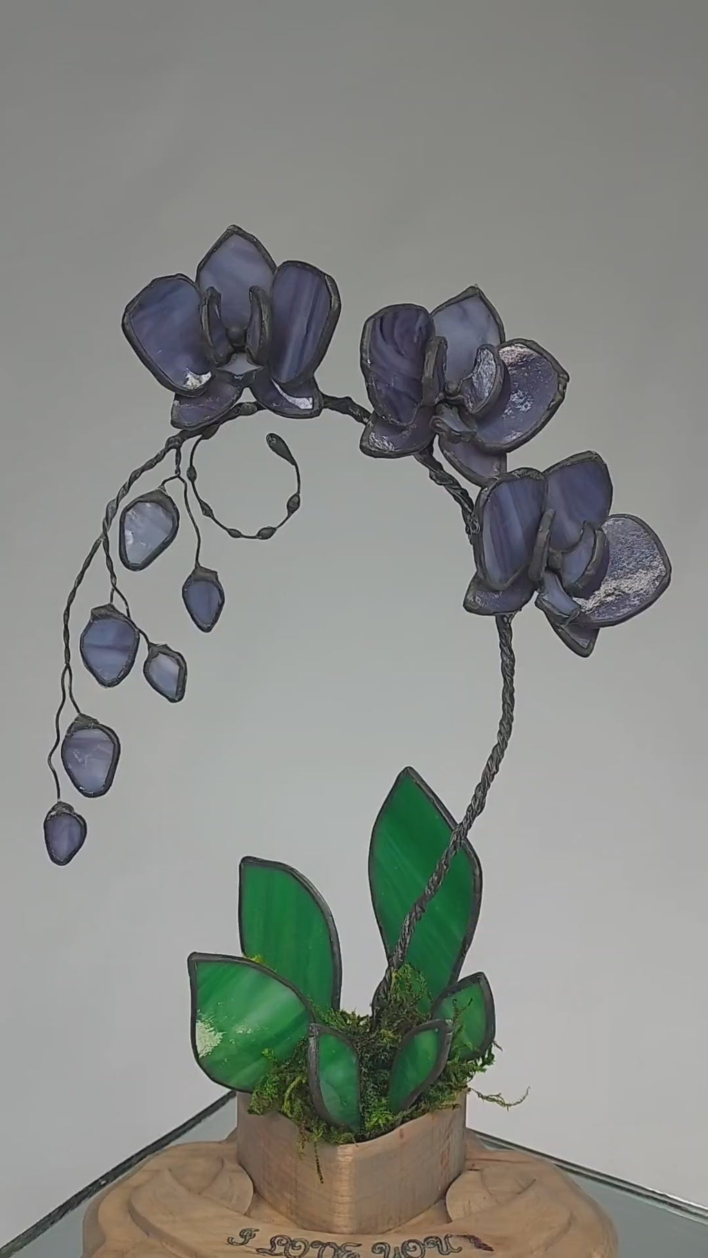 Midnight Amethyst Eternal Orchid - Valentine's Day Series