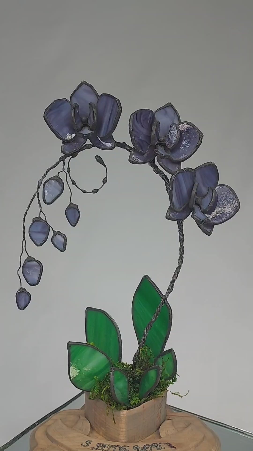 Midnight Amethyst Eternal Orchid - Valentine's Day Series