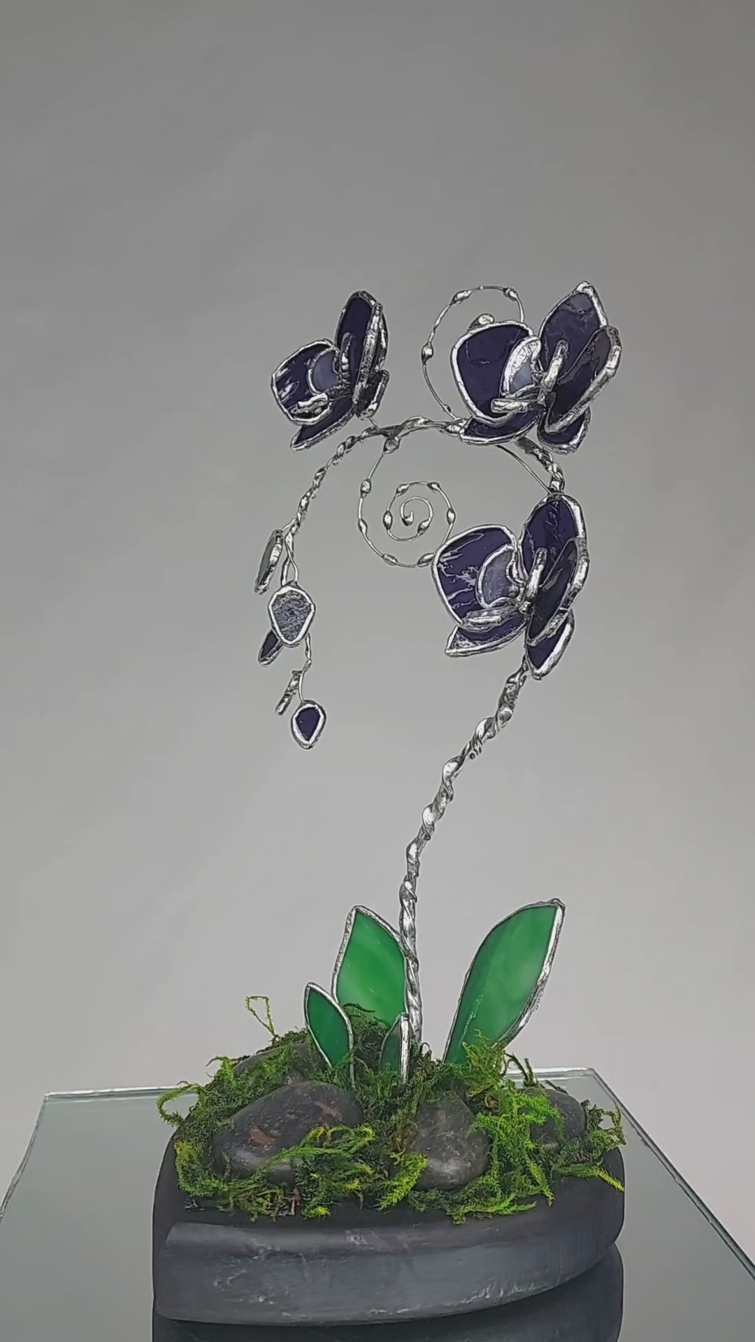 Translucent Violet Black Heart Eternal Orchid